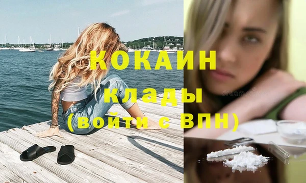 apvp Горняк