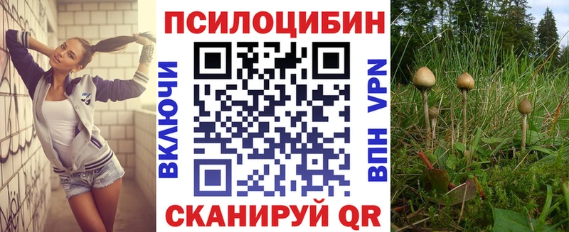 Купить где  Кулебаки  Галлюциногенные грибы Psilocybine cubensis 